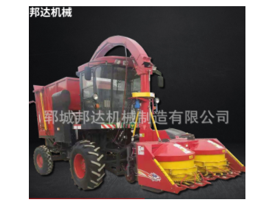 青储收割机玉米脱粒机自走式联合收割机农业饲料青储黄储机图1