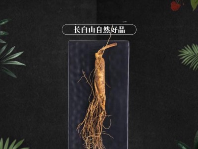 东北特产新鲜人参500g 长白山带土人参滋补泡酒厂家批发图1