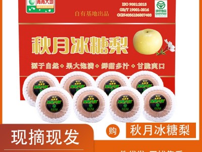 青青大地莱阳秋月梨冰糖梨礼盒装新鲜原产地直发水果整箱8斤图1