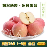 山东烟台苹果 规格65-70#小苹果 出口用苹果 10斤装 含运费