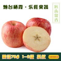 生鲜水果 烟台小苹果 75m1-2级 栖霞 红富士苹果 净重10斤快递装