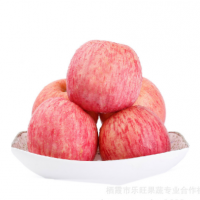 刚上市烟台新鲜红富士 栖霞苹果 净重10斤装 80#1-2级 厂家供货