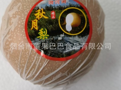 烟台产地莱阳秋月梨新鲜甜脆多汁狠甜水果秋冬5斤装直发莱阳美梨 2箱起批图3