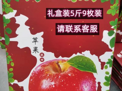 脆甜烟台红富士苹果水果新鲜条纹山东栖霞萍果10斤批发包邮礼品盒 2箱起批图2