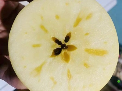 烟台黄金奶油富士苹果糖心当季整箱山东栖霞白苹果礼品盒   3盒起批图2