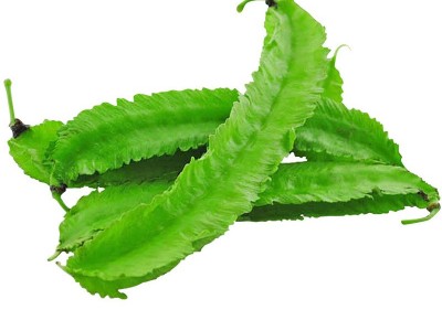 四棱豆种子四角豆种籽孑皇帝豆杨桃豆农家秋冬季阳台四季播蔬菜子图5
