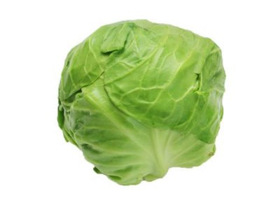 京丰甘蓝种子种籽苗大头菜包菜早熟耐寒抱球紧秋季蔬菜孑四季子图2