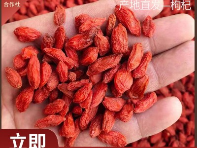 长林中药材红枸杞新货头茬干货散装药食同源大颗粒泡茶煲汤图1