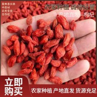 长林中药材红枸杞新货头茬干货散装药食同源大颗粒泡茶煲汤