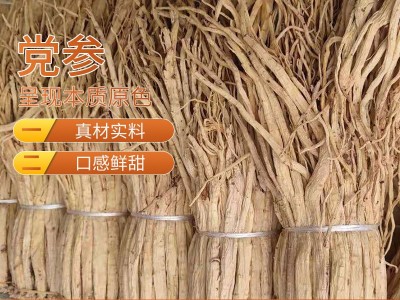 党参 甘肃中药材农产品党参条煲汤料新货散装产地货源多规格图1