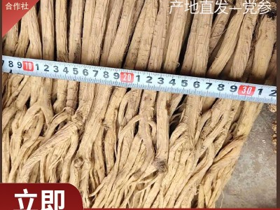 甘肃中药材甜党参多规格全干中条散装炖汤料煲汤泡茶气血图1