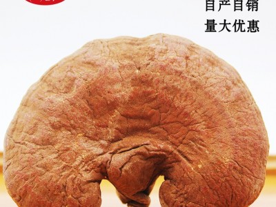 安芝堂大别山椴木赤灵芝自产自销可切片长白山灵芝红灵芝图1