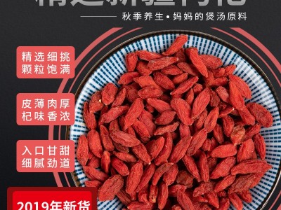 新疆红枸杞精河红枸杞子 大颗粒新货泡酒料产地直发500g批发图1