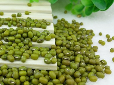 厂家批发五谷杂粮绿豆现磨豆浆粥类点心烘焙原材料新绿豆   2件起批图4