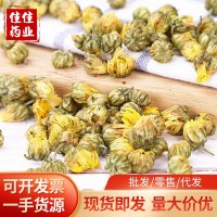 桐乡胎菊王 黄金菊干花 无硫苏杭州白菊花草茶野菊花散装现货批发