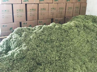 河南封丘散装干金银花当季新货 现货批发金银花花草茶湖南山银花图4
