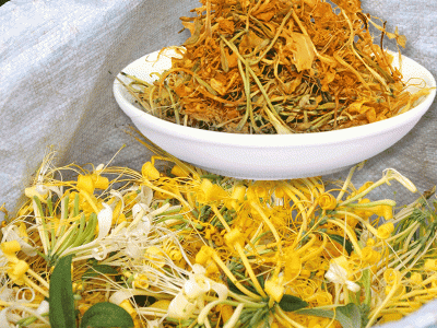湖南五彩金银花 烘干当季新货泡茶产地直供 医药提取洗澡洗脸泡脚图1