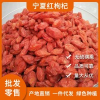 宁夏枸杞批发 现货 个大枸杞散装袋装1斤/500g 量大从优