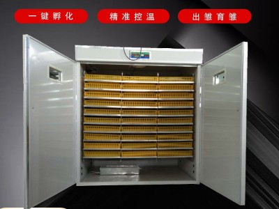 厂家直销全自动智能孵化器 1232枚孵化机 鸡鸭鹅苗孵蛋器 可定制图2