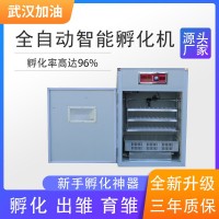 全自动孵化机 智能家禽孵化机 大型控温卵蛋器 大型工业卵蛋器