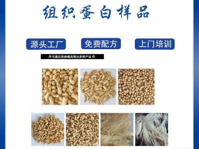 小本创业组织蛋白素肉食品生产线 休闲食品设备 植物蛋白加工机械图4