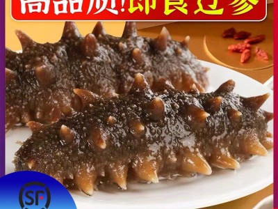 【海参工厂批发】大连即食海参 非干货 辽刺参即食海参礼盒 500g图1