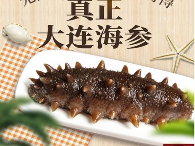 大连鲜食海参500克鲜食海参批发非半干 非即食图1