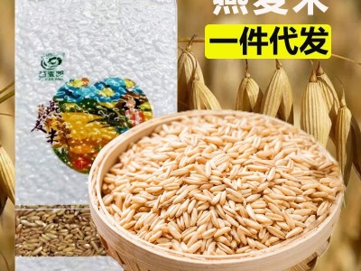 燕麦米坝上高原莜麦坝膳食纤维内蒙古燕麦五谷杂粮图1