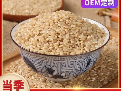 糙米500g 胚芽米 五谷杂粮 厂家批发图1