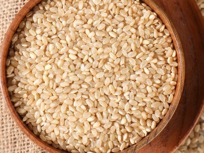 糙米500g 胚芽米 五谷杂粮 厂家批发图4