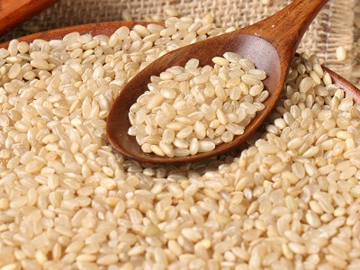 糙米500g 胚芽米 五谷杂粮 厂家批发图3