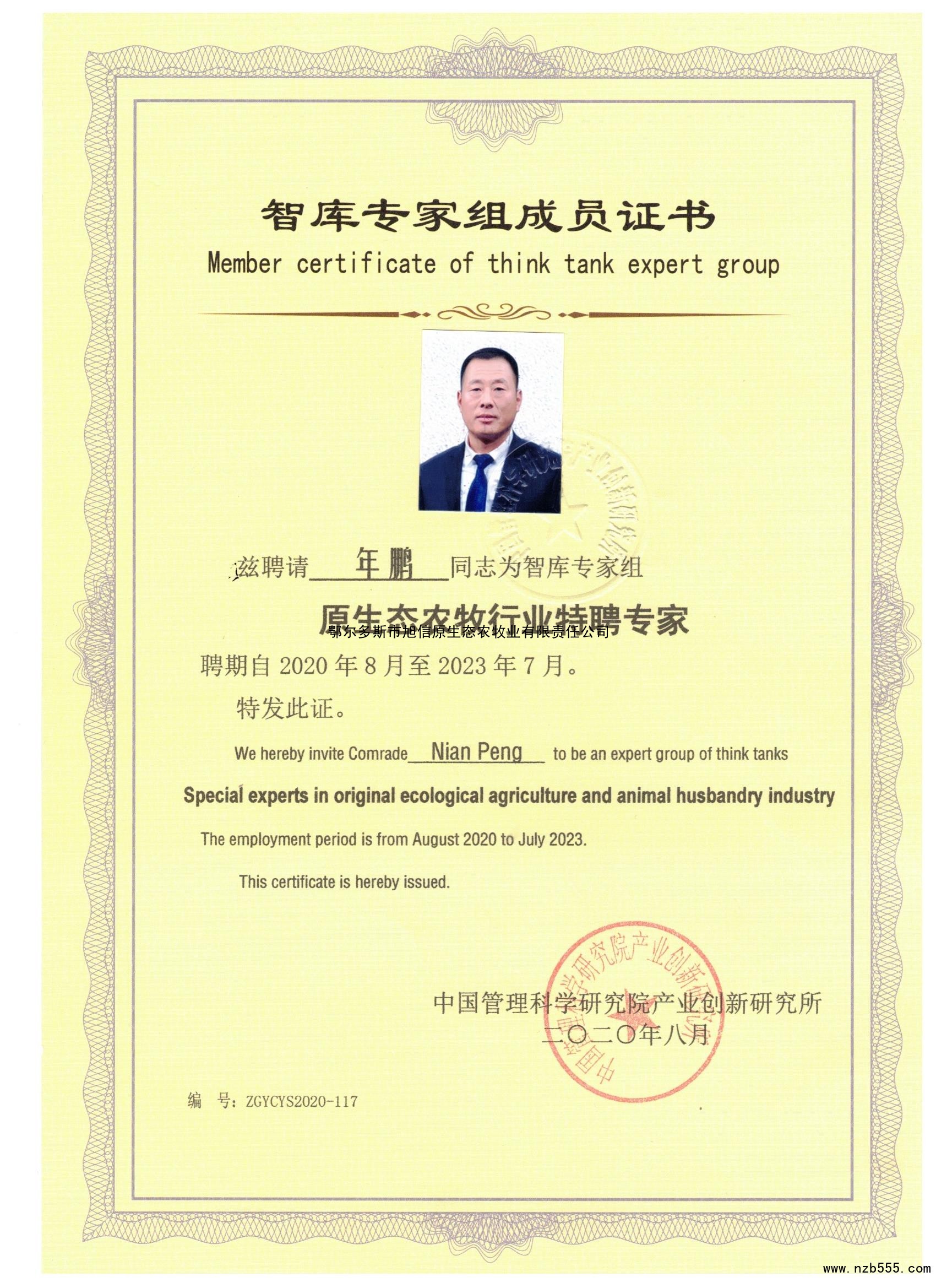 智库专家组成员证书