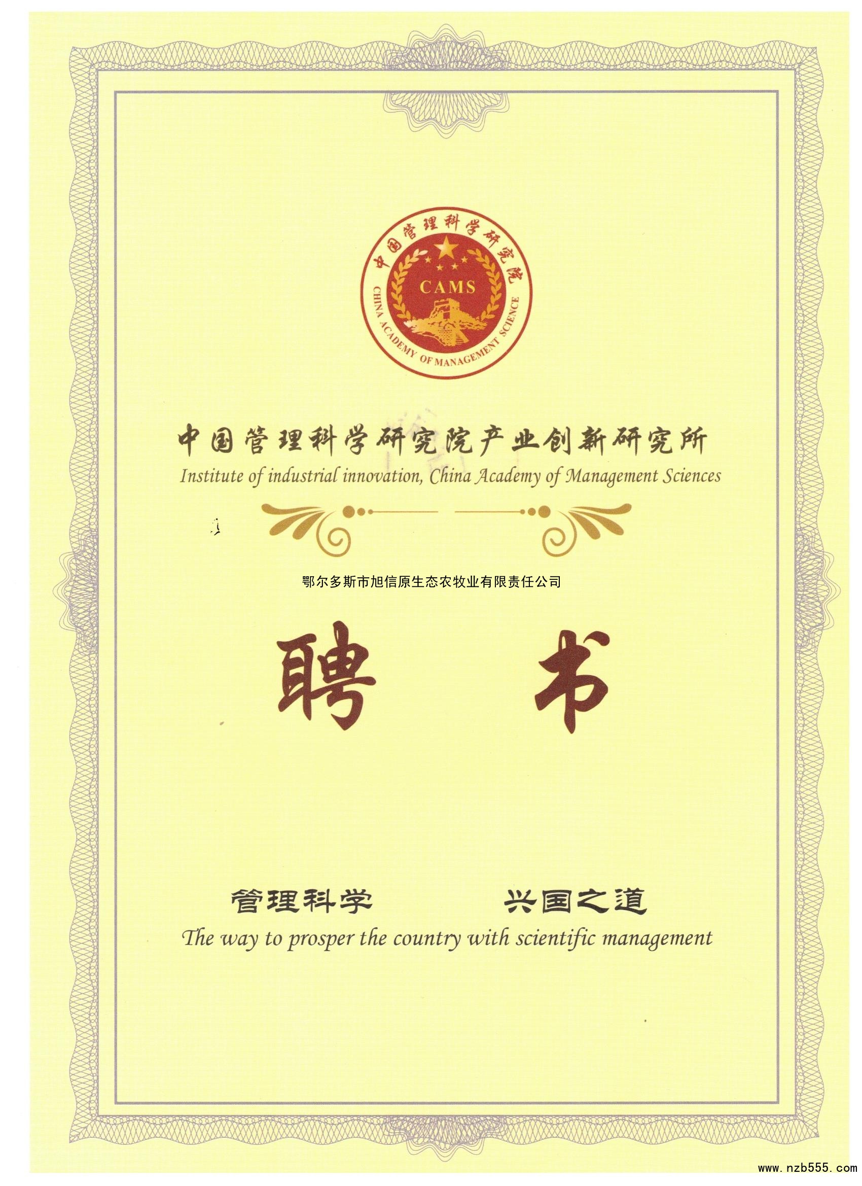 智库专家组成员证书 1
