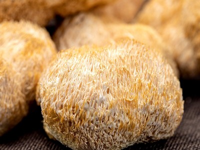 厂家批发 庆元猴头菇菌菇干货袋装250g 煲汤食材新鲜现货图2