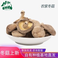 庆元香菇干货 冬菇厚菇 250g厂家供应各类大小品质餐饮加工批发