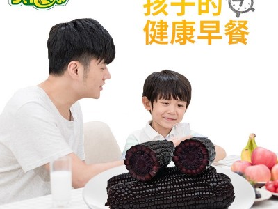 东北黑糯玉米10根包邮新鲜紫黏玉米双棒装即食甜嫩苞米粒真空蔬菜  2箱起批图2