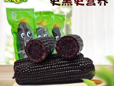 东北黑糯玉米10根包邮新鲜紫黏玉米双棒装即食甜嫩苞米粒真空蔬菜  2箱起批图5