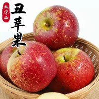 【大凉山盐源丑苹果】脆甜多汁 红将军红富士礼盒8斤新鲜水果  2箱起批