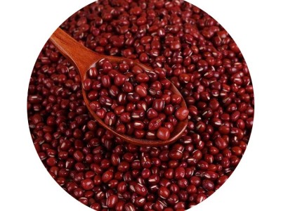 批发农家自产小红豆红小豆散装五谷杂粮批发红豆珍珠豆图5