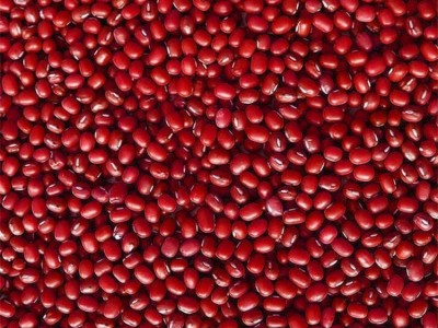 批发农家自产小红豆红小豆散装五谷杂粮批发红豆珍珠豆图2