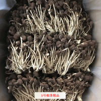 君志 江西广昌5号茶树菇干货批发 散装不开伞精选细条 产地货源 2件起批
