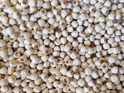 君志 江西广昌通芯白莲手工去芯无芯莲子干货批发 500g散装大颗粒图4