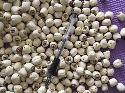 君志 江西广昌通芯白莲手工去芯无芯莲子干货批发 500g散装大颗粒图3
