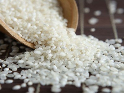东北大米10斤厂家批发当季新米香米农家珍珠米食堂批发白米5kg图4