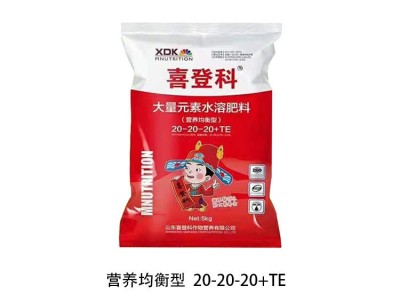 喜登科大量元素水溶肥 全水溶 无残渣营养均衡型 生物水溶肥  2吨起批图2