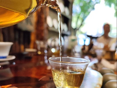 云南普洱茶茶叶批发 细叶散装生茶景谷黄草坝古树茶生普散茶200g2包起批图2