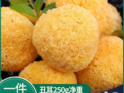 【一件代发】古田银耳丑耳250克南北干货菌菇山珍批发糯耳稠糯图1
