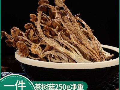 【一件代发】古田茶树菇不开伞250克南北干货菌菇煲汤批发未开伞图1