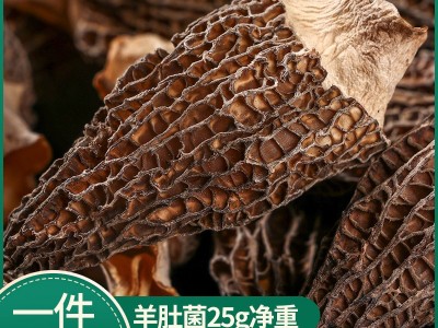 【一件代发】古田羊肚菌25克云南特产剪脚短柄羊肚菌干货批发图1