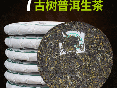 雨林味蕾普洱生茶饼 云南七子饼茶 古树普洱生茶饼 357g厂家批发图1